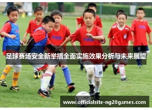 足球赛场安全新举措全面实施效果分析与未来展望