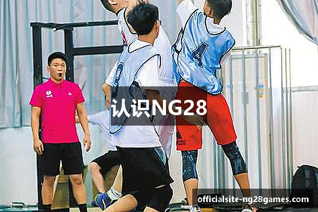 认识NG28